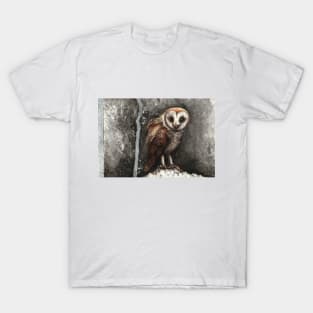 Silver Barn Owl / traditional art watercolor & Ink / buho y plata / Art by @solistrevinho T-Shirt